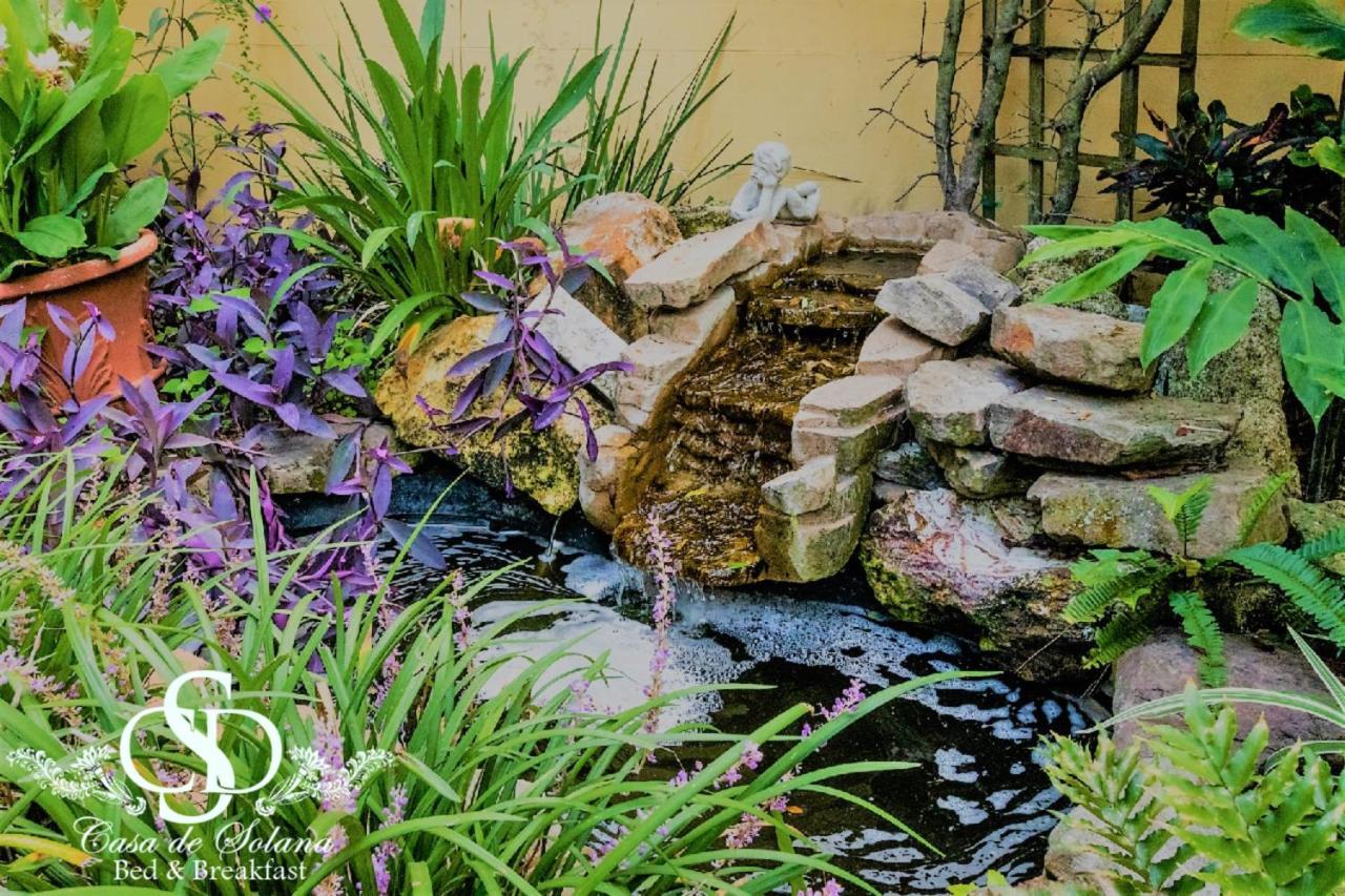 Casa De Solana Bed And Breakfast Сейнт-Огастін Екстер'єр фото